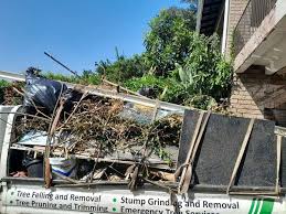 Best Demolition Debris Removal  in , KY